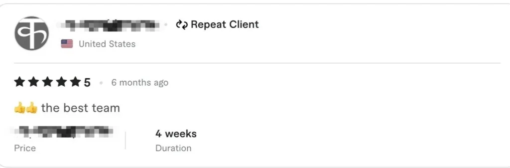 5-star client review - the best team from repeat client in United States